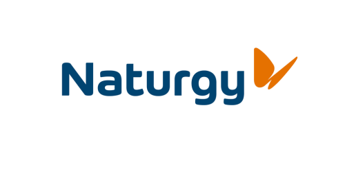 Naturgy