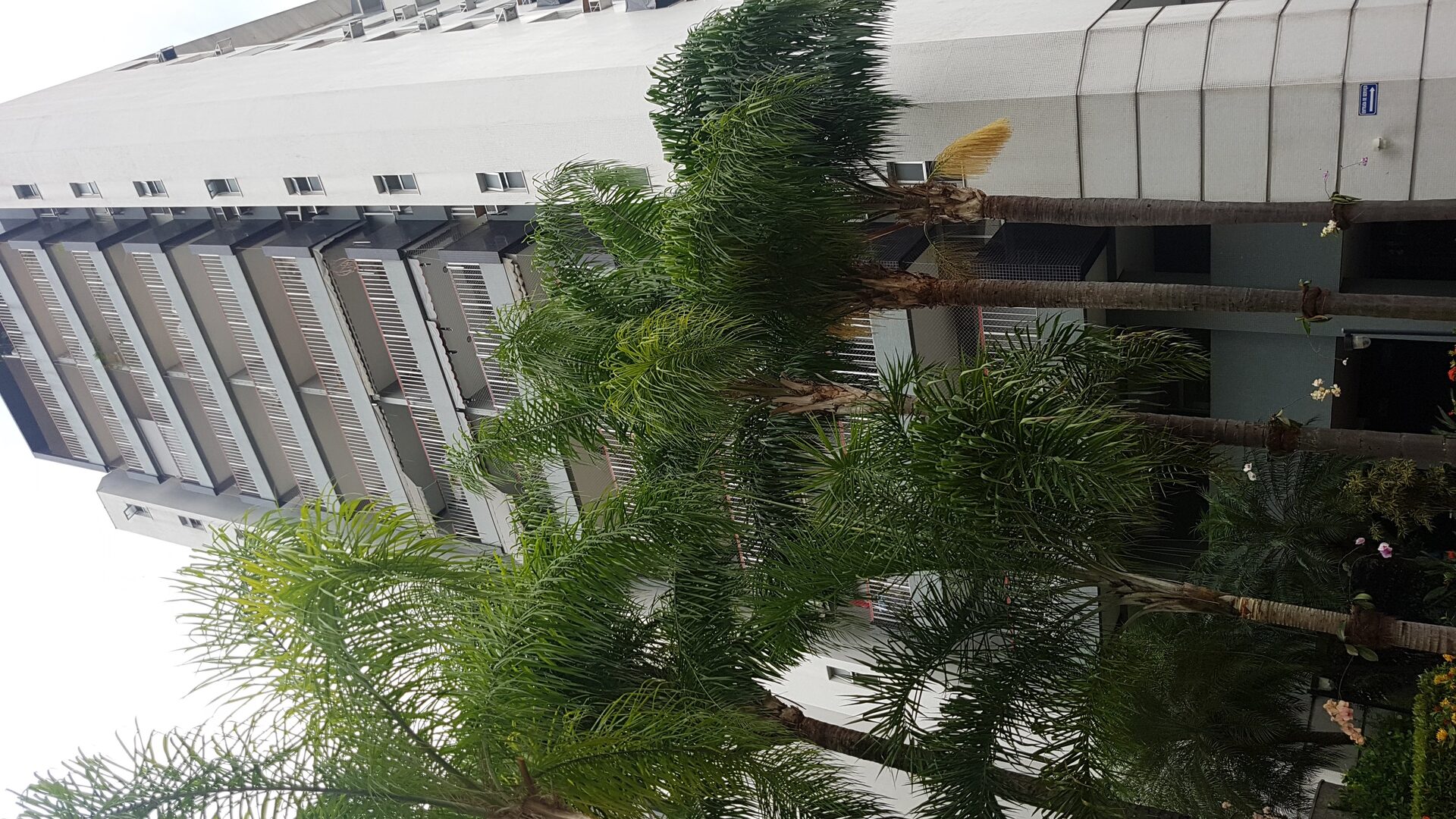 Vistoria de sistemas elétricos e hidráulicos do edifício