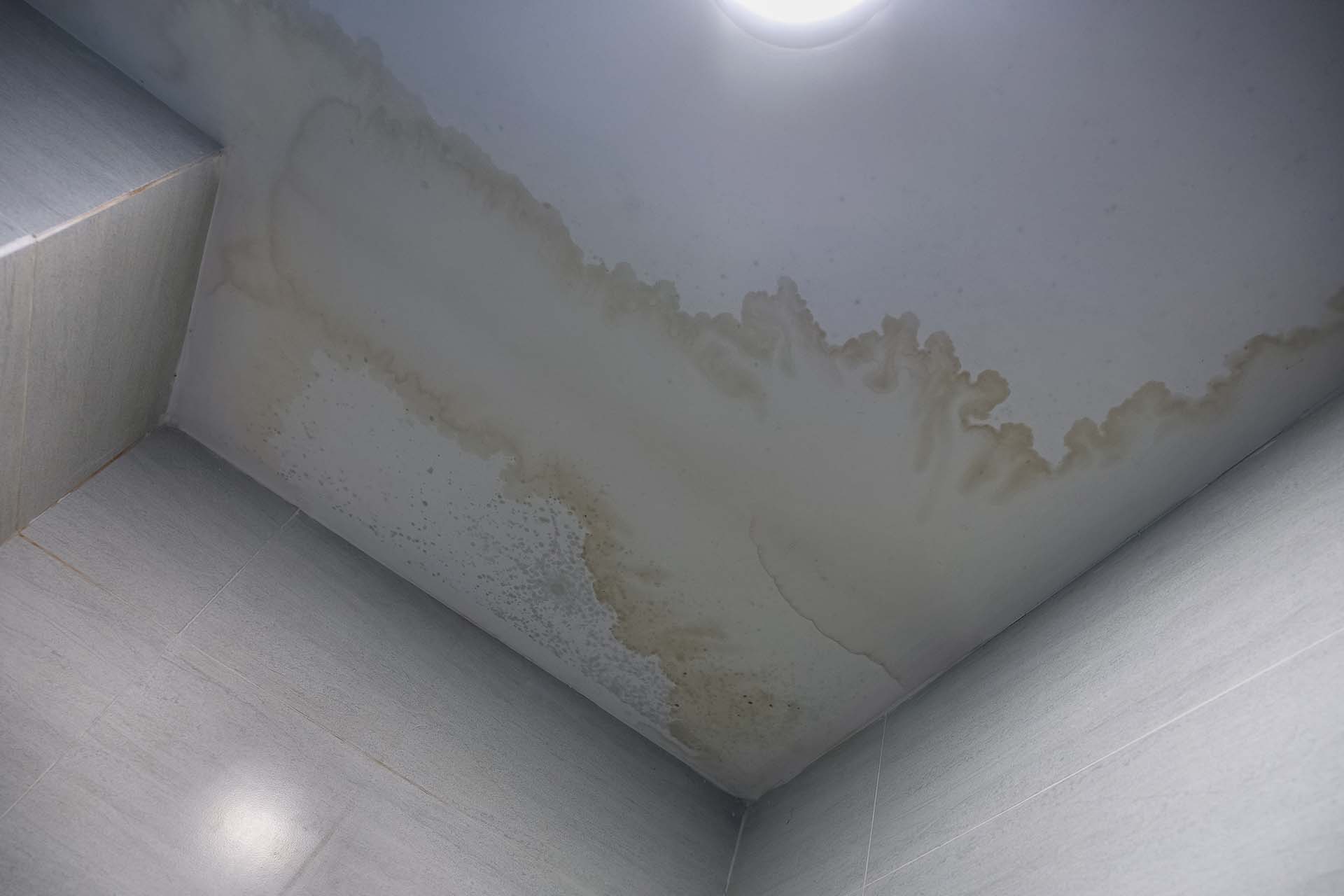 Infiltrações Ocultas